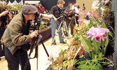 Ontario Orchid Society Show - 30.000 экзотических орхидей на выставке в Ботаническом саду!