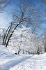 High Park - одно из самых популярных мест в городе...