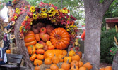 Если вы ищете развлечения для всех возрастов на уикенд Дня благодарения - приходите  на Торонто Pumpkinfest! 