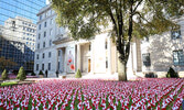 Remembrance Day Service