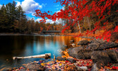 На вебсайте www.ontarioparks.com/fallcolour вы сможете получить подробную информацию о том, в каком состоянии находится осенняя листва в различных местах Онтарио...