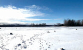 Mountsberg Conservation Area, около города Campbellsville.