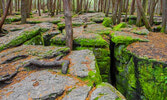 Warsaw Caves Conservation Area - Ontario, Canada