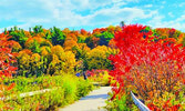 Фантастическое зрелище представляет из себя осенью Rouge Park...