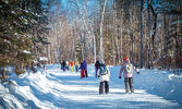 Arrowhead Provincial Park в районе городка Huntsville