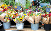 родолжает свой 13-й весенне-летний сезон  праздник цветов Toronto Flower Market...