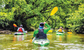 Big Creek National Wildlife Area в Онтарио - лесистая местность, известная как Канадская Амазонка...