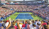 Звезды мужского тенниса - в Торонто на Кубкe Роджерса 2018 года, престижном профессиональном турнире, который проводит Tennis Canada...