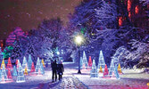 Ontario Power Generation Winter Festival of Lights on Niagara Falls