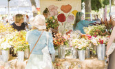 Один субботний день каждого месяца в городе работает Toronto Flower Market, настоящий праздник цветов, который собирает огромное множество  людей...