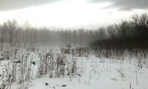 Фотография Forks of the Credit Provincial Park