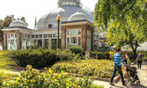 Allan Gardens Conservatory