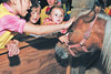 HorseCapades - это неофициальный старт CNE, Канадской Национальной выставки. Веселая и познавательная программа, дающая детям и взрослым шанс приблизиться к волшебному миру лошадей...