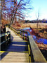 Rattray Marsh Conservation Area  - последнее уцелевшее болотное угодье е между Торонто и Бурлингтоном, через которое проложена дощатая прогулочная дорожка. (Фото: Nina Munteanu, themeaningofwater.com)