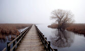 Point Pelee National Park