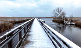 Point Pelee National Park