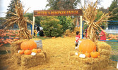 Pumpkin Fest Toronto - это удивительное четырехдневное мероприятие на открытом воздухе с неизменно популярным гигантским тыквенным участком, фотооперациями, аттракционами, надувными горками, веселыми играми, надувным кукурузным лабиринтом, потрясающей едо