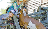 Riverdale Farm - nолько здесь, на действующей старинной ферме, можно увидеть и коров, и лошадей, и овец, и козлов, и свиней, и различную домашнюю птицу...