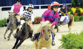 Exhibition Place - крупнейшая в мире сельскохозяйственная ярмарка, где устраиваются конные соревнования для детей и взрослых... Photo: CNW Group.